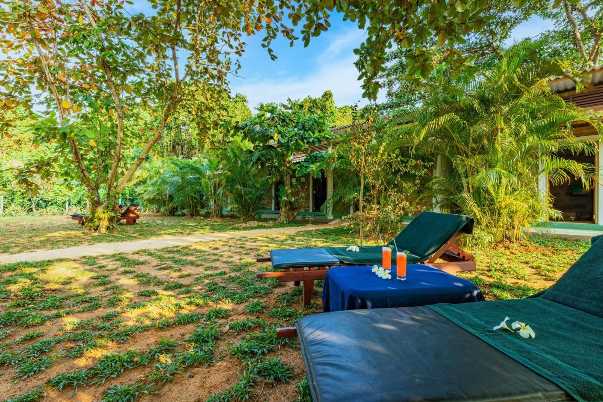 Sath Villa Naadi Ayurveda Resort Moragalla Kültér fotó